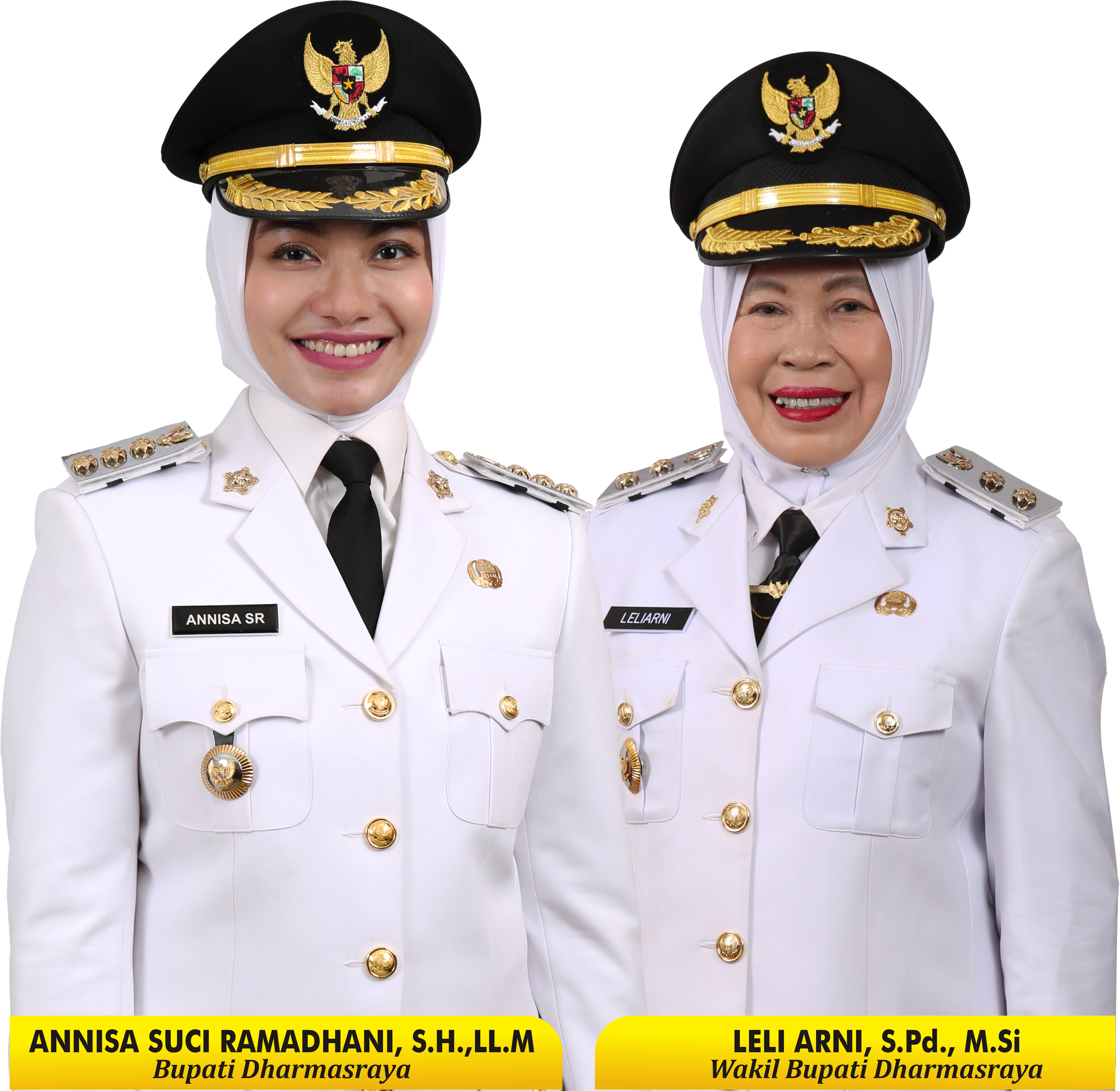 Bupati Dharmasraya